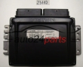 MOTORSTEUERGERÄT ECU STEUERGERAT RENAULT MEGANE SCENIC S110030054 A, S110030054A, 8200035891, SIRIUS 32