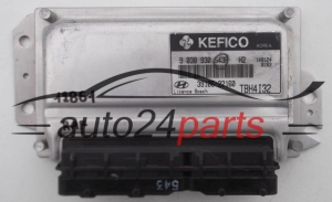 KOMPUTER STEROWNIK SILNIKA HYUNDAI 39106-22160, 3910622160 - 12861