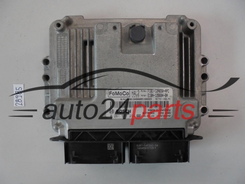 KOMPUTER STEROWNIK SILNIKA FORD 0261S17238 F1B1-12A650-APC F1B112A650APC