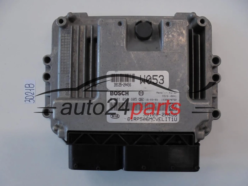 KOMPUTER STEROWNIK SILNIKA KIA HYUNDA 0281031605 39120-2A456 391202A456