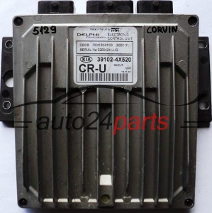 MOTORSTEUERGERÄT ECU STEUERGERAT KIA CARNIVAL 2.9 CRDI Delphi R0410C010D, 39102-4X520, 391024X520 