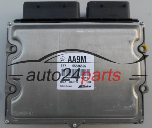 ECU CENTRALITA DE MOTOR  OPEL ASTRA IV ACDelco 55586526 AA9M, DELPHI 55579719