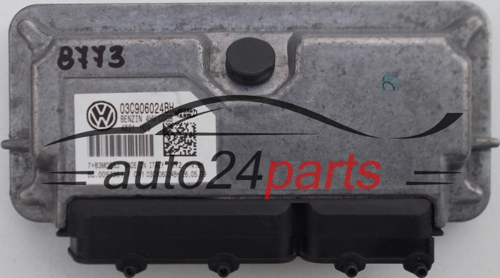 DSCF3178.JPG