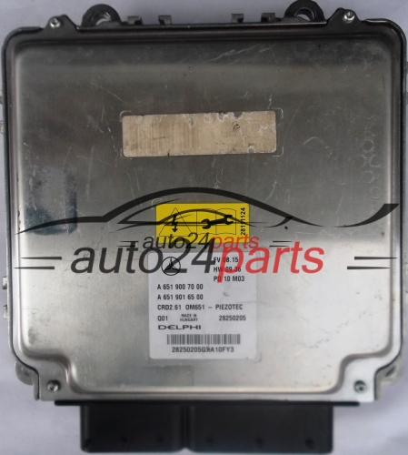 MOTORSTEUERGERÄT ECU STEUERGERÄT MERCEDES W211 DELPHI 28250205 A6519007000, A6519016500