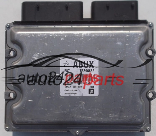 MOTORSTEUERGERÄT ECU STEUERGERÄT OPEL CHEVROLET GM 55596662 ABUX DELPHI 55579719 