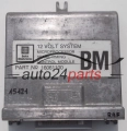 DELCO 16061100 BM, 16061100BM 